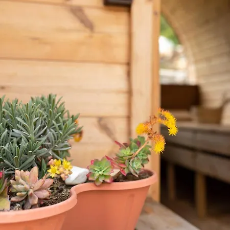 Krk Patak * Vrh (Krk)